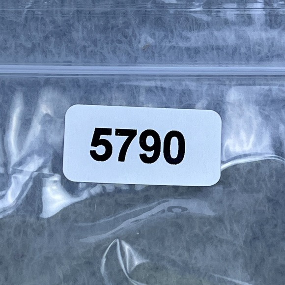 New Halfdays Women's Carson Bib Pant in Granita Size M/SHORT Neon Snow Pants - Picture 15 of 15